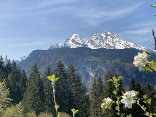 Frühlingsstimmung einfach zum Genießen! Ferienwohnungen Hilde Gerg