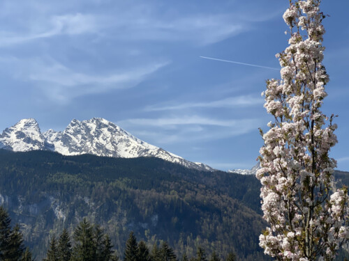 Frühlingsstimmung einfach zum Genießen! Ferienwohnungen Hilde Gerg
